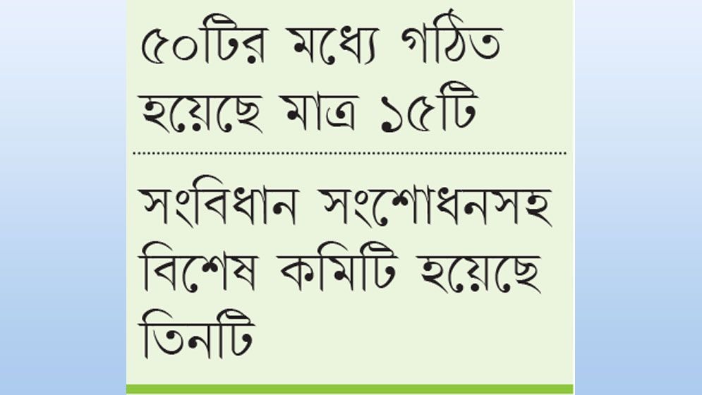 সংসদীয় স্থায়ী কমিটি গঠনে ধীরগতি: মন্ত্রণালয়ের জবাবদিহিতে স্থবিরতা