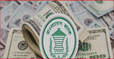 আগস্টের প্রথম ৫ দিনেই এলো ৬০২ মিলিয়ন ডলার রেমিট্যান্স