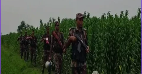 ইছাখালীতে বিএসএফের হাতে আটক বাংলাদেশি কৃষক, পাল্টা দুই ভারতীয় নাগরিক আটক