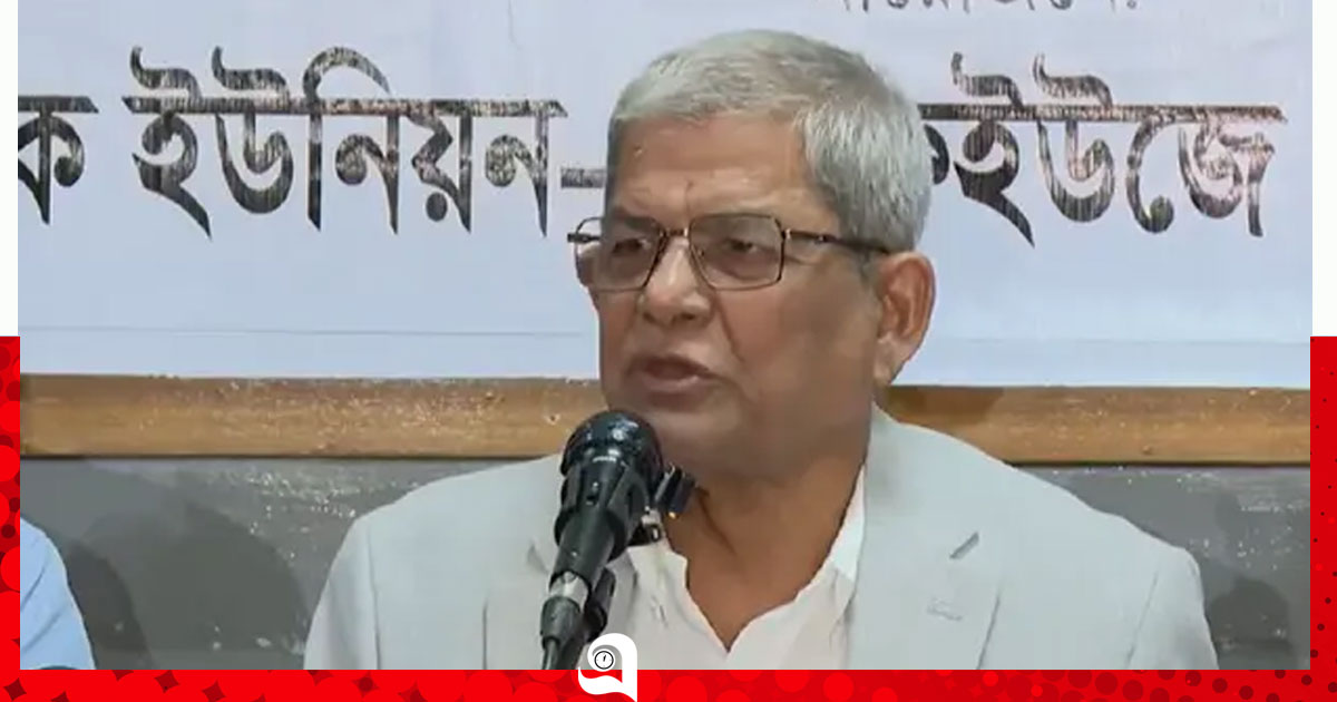 গণমাধ্যমে সরকারের কোনো হস্তক্ষেপ নেই: মির্জা ফখরুল