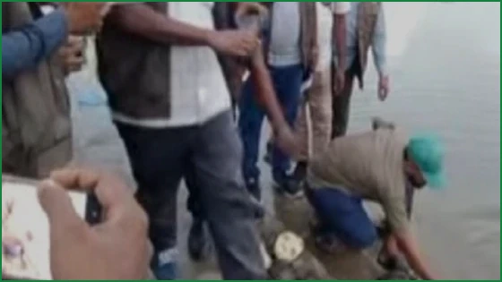 গলাচিপায় ১৭টি সংরক্ষিত সন্ধি কচ্ছপসহ পাচারকারী আটক