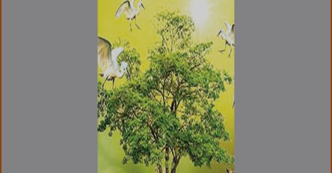 প্রাণীর সুরক্ষায় ইসলামের নির্দেশনা ও হাদিসের বাণী