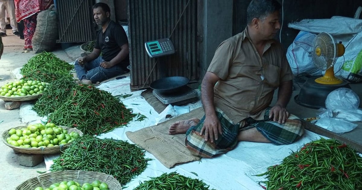 ভারত থেকে কাঁচা মরিচ আমদানি শুরু, কেজিতে কমেছে ৯০ টাকা