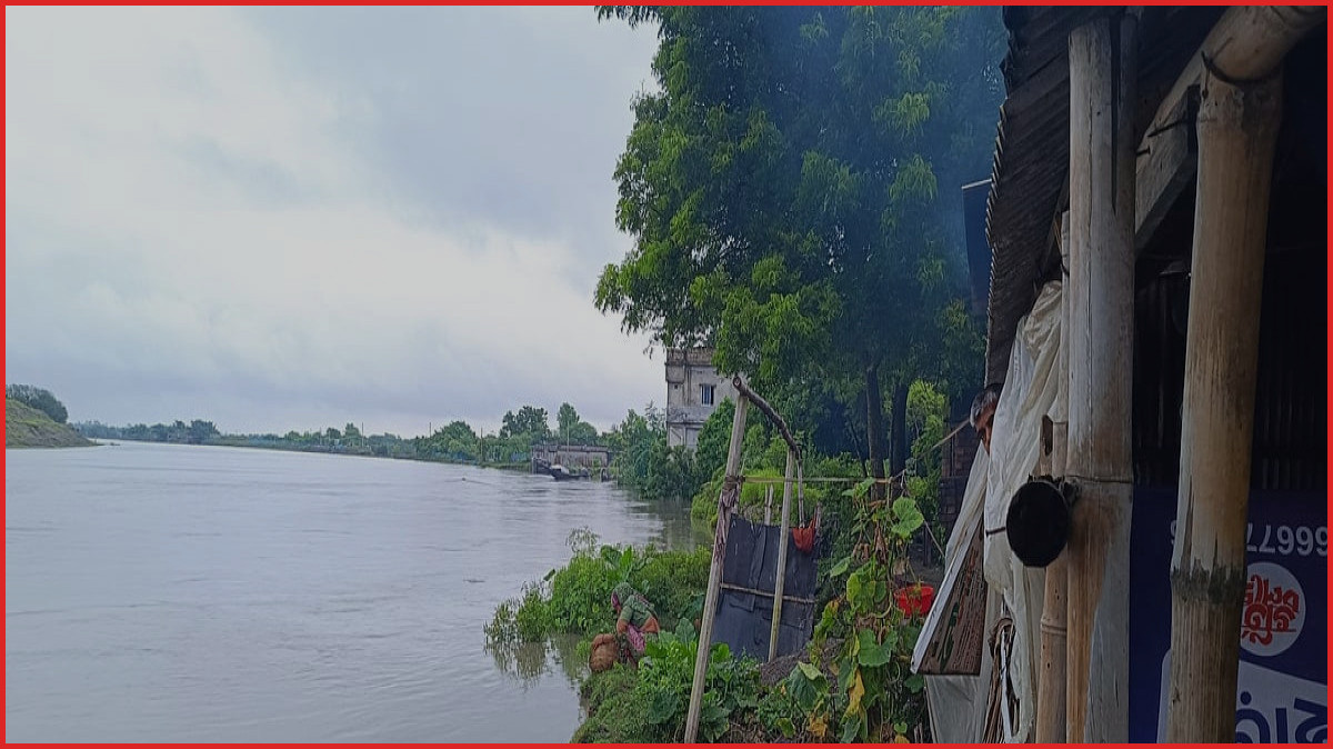 মরিচ্চাপ নদীর ভাঙনে আশাশুনিতে দিশেহারা মানুষ, বিলীন বসতবাড়ি