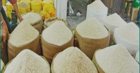 কুষ্টিয়ার মোকামে চালের দাম বৃদ্ধি, খুচরা বাজারে অস্থিরতা