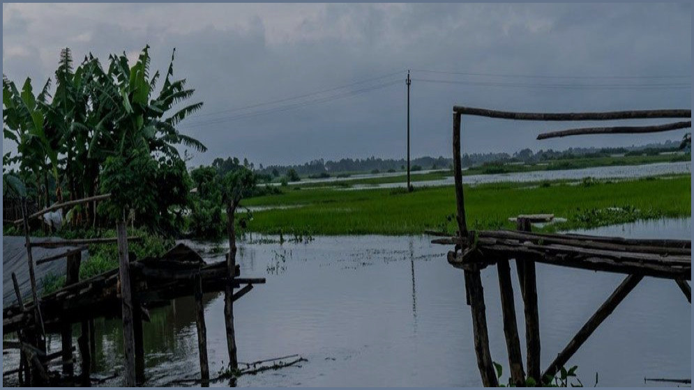 রায়পুরে রাতের আঁধারে খেয়াঘাটের কাঠের সাঁকো ভাঙল দুর্বৃত্তরা