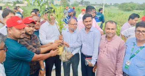 কর্ণফুলীতে মমতার উদ্যোগে সাড়ে চার হাজার গাছের চারা বিতরণ