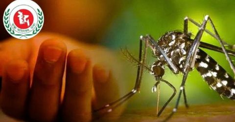 দেশে একদিনে ডেঙ্গুতে আরও ৮ জনের মৃত্যু