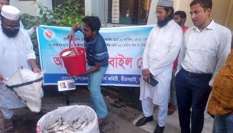 মিরসরাইয়ে জব্দ ৩৯৫ কেজি ইলিশ বিতরণ এতিম ও দুস্থদের