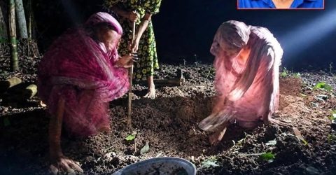 পিরোজপুরে মুক্তিযোদ্ধা মানিক পশারীর দাফনে বাধা, রাতে কবর খুঁড়লেন স্বজনরা