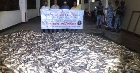সন্দ্বীপ চ্যানেলে অভিযান