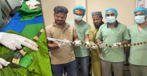 চট্টগ্রামে লোহার জালে আটকে আহত শঙ্খিনীর সফল অস্ত্রোপচার