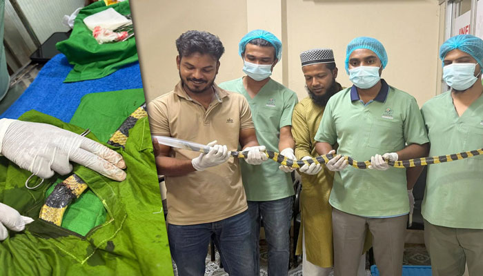 চট্টগ্রামে লোহার জালে আটকে আহত শঙ্খিনীর সফল অস্ত্রোপচার
