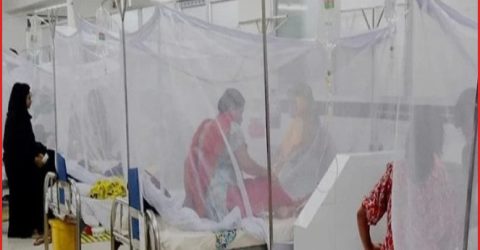 ডেঙ্গুতে আরও ৬ জনের মৃত্যু, হাসপাতালে ভর্তি ১৬০৮ জন