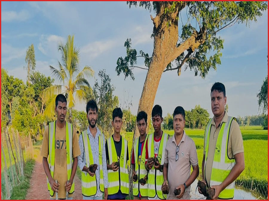 বজ্রপাতে বন্ধুর মৃত্যু দেখে ২১ হাজার তালবীজ রোপণ ছবুরের