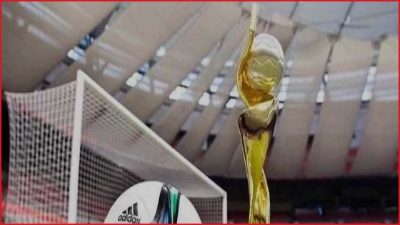 ব্রাজিল নারী বিশ্বকাপের প্রাইজমানি দ্বিগুণ বাড়াল ফিফা