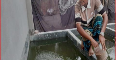 ৪০ টাকার মাছ থেকে ৩০ লাখের হ্যাচারি মালিক আবদুল্লাহ